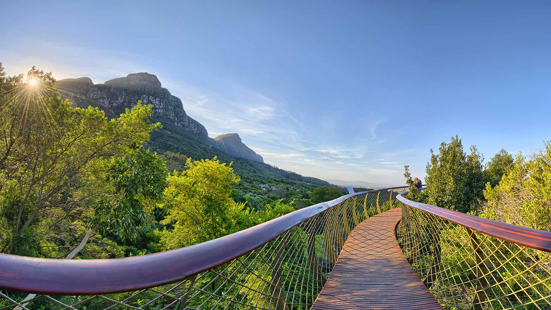 Les plus jardins du monde - kisrtenbosch - Afrique du Sud