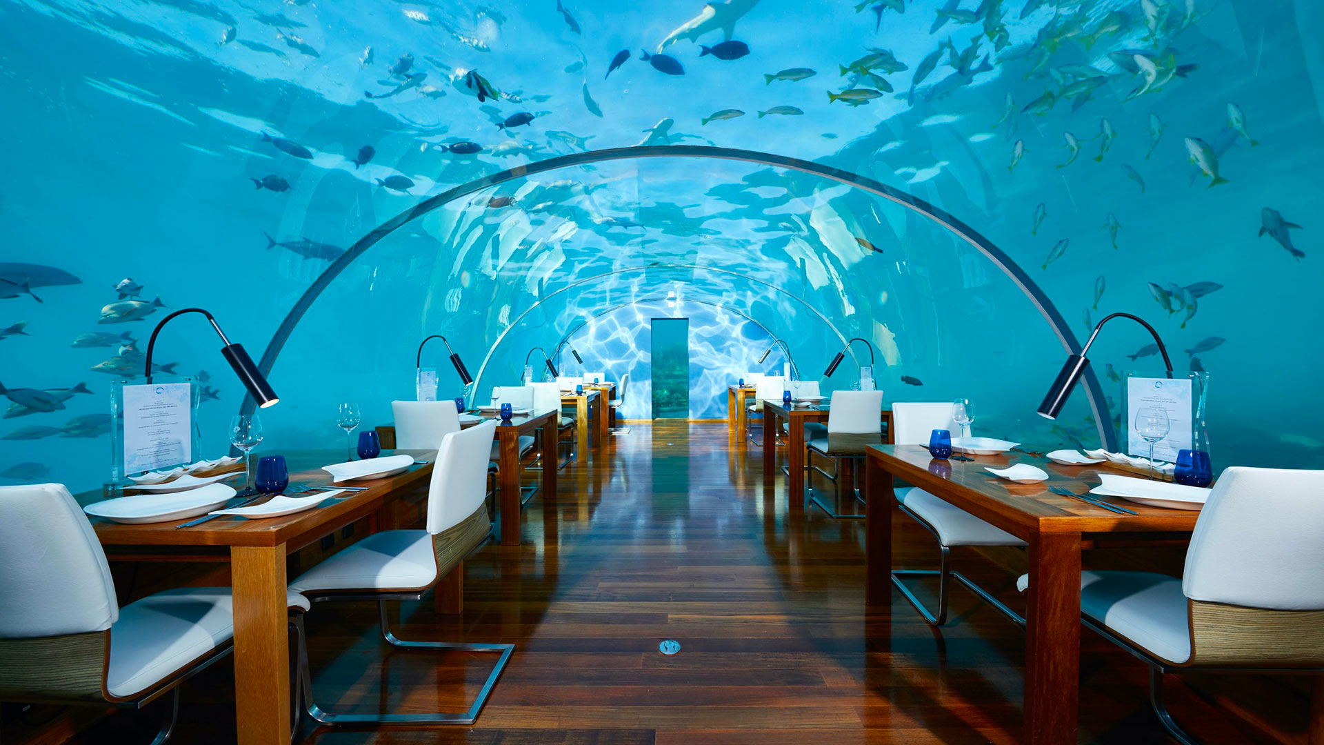 Restaurant Ithaa Undersea, Maldives